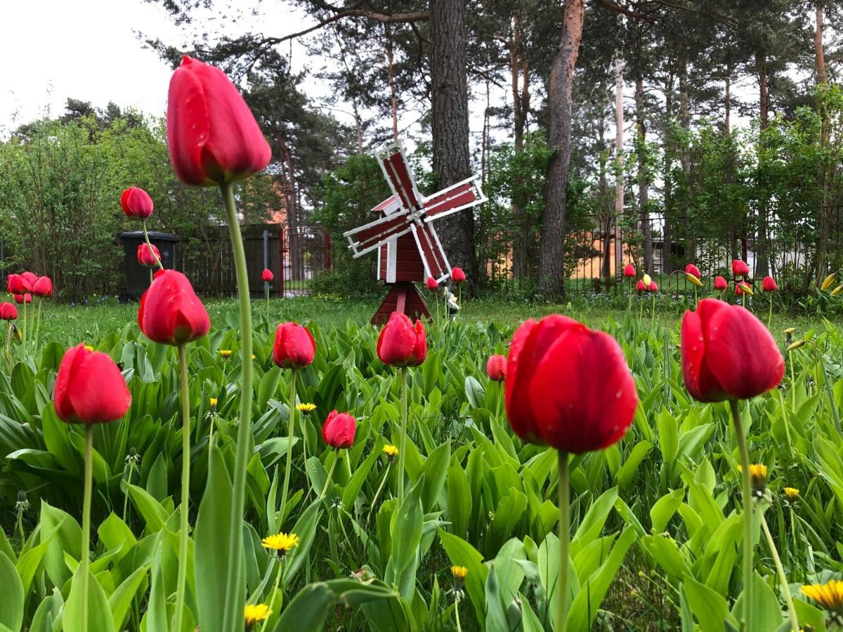 Lovely Nest In Nomme Tallinn Bagian luar foto